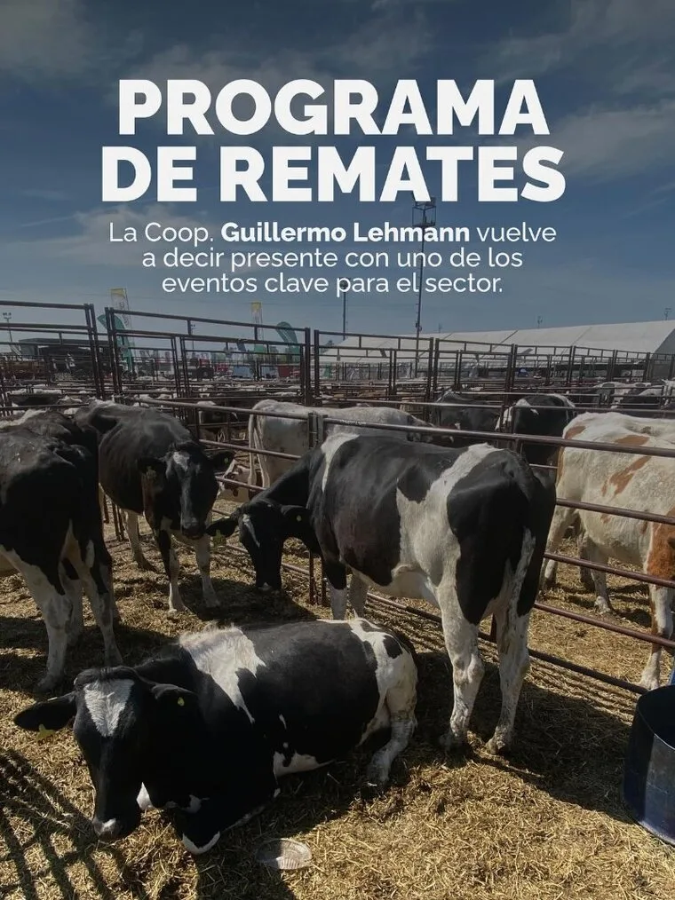 Programa de Remates — Coop. Guillermo Lehmann